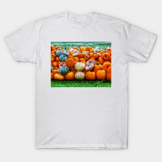Nice Set Of Melons T-Shirt by davidbstudios